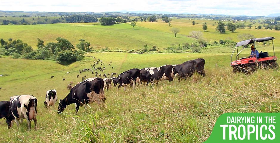 CHEELONGA FARMING
